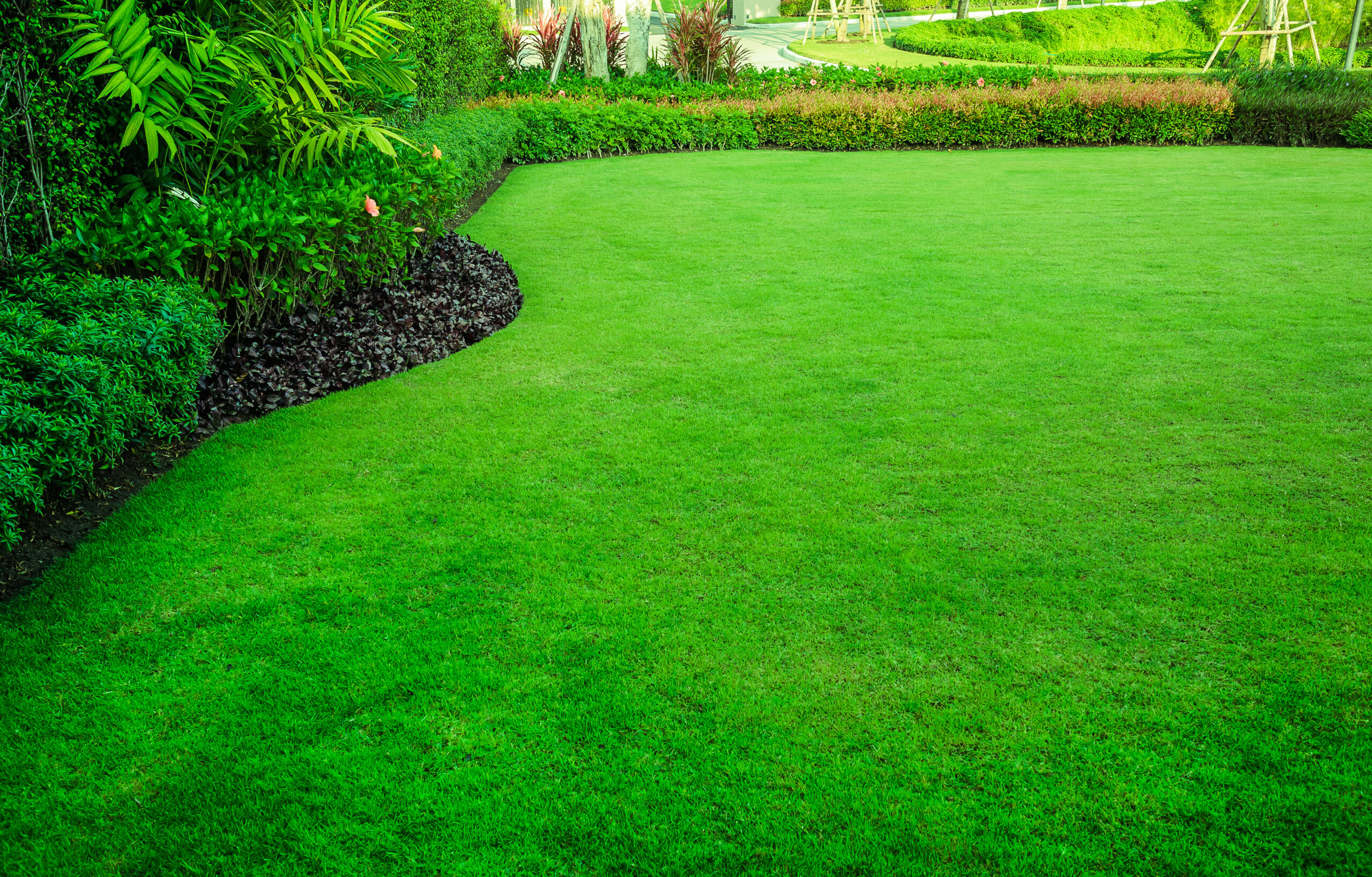 Entretien jardin à Confolens