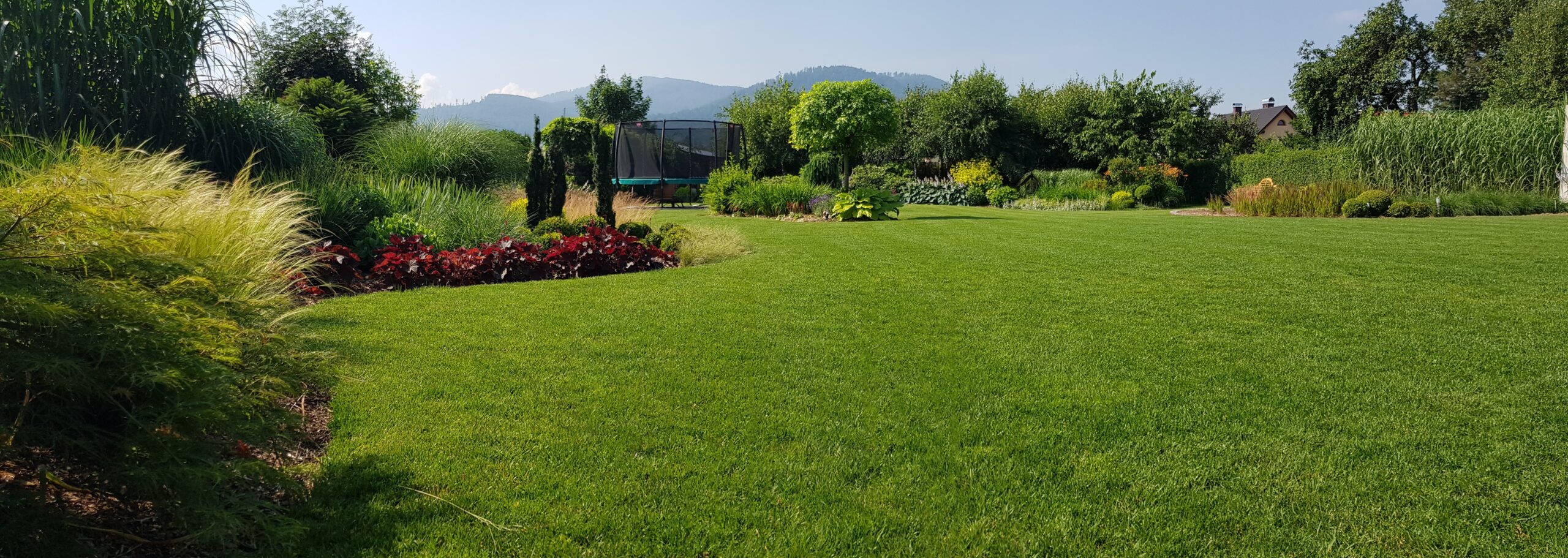 Entretien jardin à Confolens