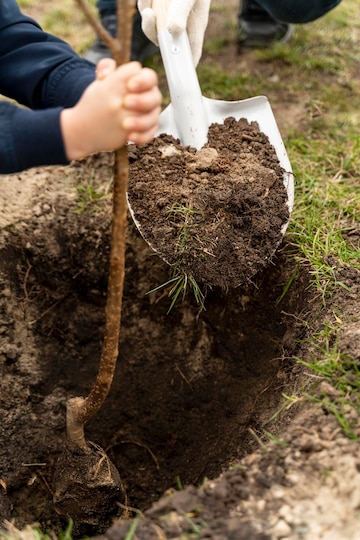 Entretien jardin à Confolens