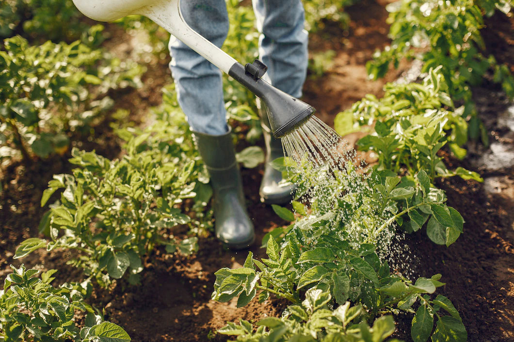 Entretien jardin à Confolens