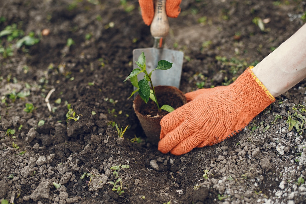 Entretien jardin à Confolens